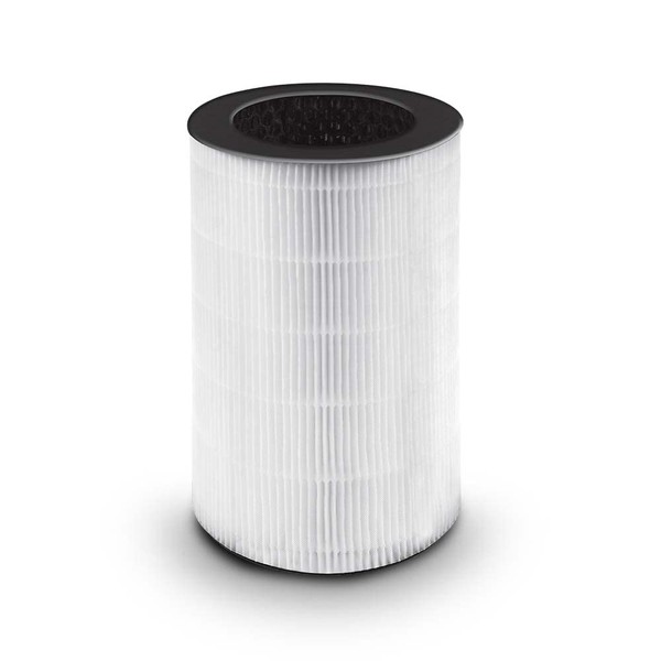 Homedics TotalClean 3-in-1 HEPA-Type Air Purifier Filter Replacement, Works with Homedics AP-T30 and AP-T30WT Air Purifiers, Captures Microscopic Airborne Particles