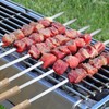 12 Pack Kebab Skewers BBQ Barbecue Skewers Stainless Steel Flat