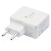 Leicke Wall Charger Adapter/Travel Charger with USB Input | 2
