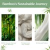 JSD Sage Green 100% Viscose Derived from Bamboo Sheet Set