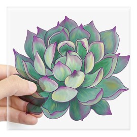 CafePress Succulent Plant Sticker Square Bumper Sticker Car Decal