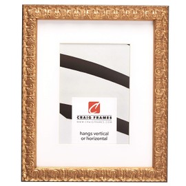 Craig Frames Versailles, 12 x 36 Inch Picture Frame Matted to Display an 8 x 32 Inch Photo, Gold