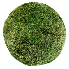 SuperMoss (21679 Preserved Moss Balls – Natural Green Decor for Home, Weddings & Events – Vase Fillers & Centerpieces, 18”, Fresh Green