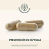 LIFE 360 Suplemento Vitamins-B Grape, Envase que contiene 220 Cápsulas