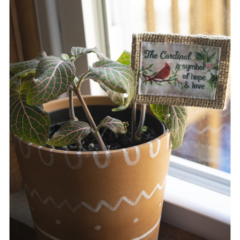 Abbey & CA Gift Cardinal Flag Flower Pick