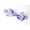 Spring Notion Men's Patterned Bow Tie Lilac