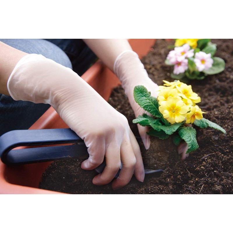 Utsunomiya Quinn Natural Rubber Gloves Powder Free L 100 Count
