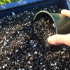 Organic Perlite for Plants, Soil Amendment for Enhanced Drainage and