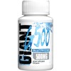 Giant Sports Performance Edge G-500 Glutamina - L- Glutamina -