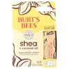 Burts Bees, tubo de papel de bálsamo labial de karité