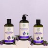 Petal Fresh Pure Lavender Bath & Shower Gel 475ml