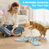 PETSWEET Interactive Cat Toys with Bird, Hide and Seek Cat
