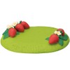 Deco Corporation Strawberry Fields ZCB-62722