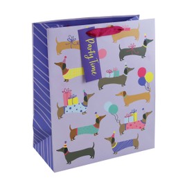 Eurowrap Gift Bag, Youth Large / 11-13, Multi