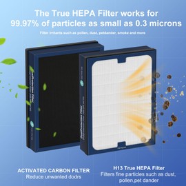Ganteny 200/300 Series Dual Protection Filter Replacement Compatible with Blueair 200/300 Series, for 200, 201, 203, 205, 210, 215, 250, 270, 280i, 303 Models, True HEPA with Activated Carbon, 2 Pack