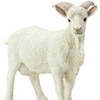 Safari Ltd. Billy Goat Figurine - Lifelike 3.75" Figure -