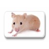 Hamsters/Dwarf Hamsters/Syrian Hamsters – 6 Rectangular Memo Board/Pinboard White Board
