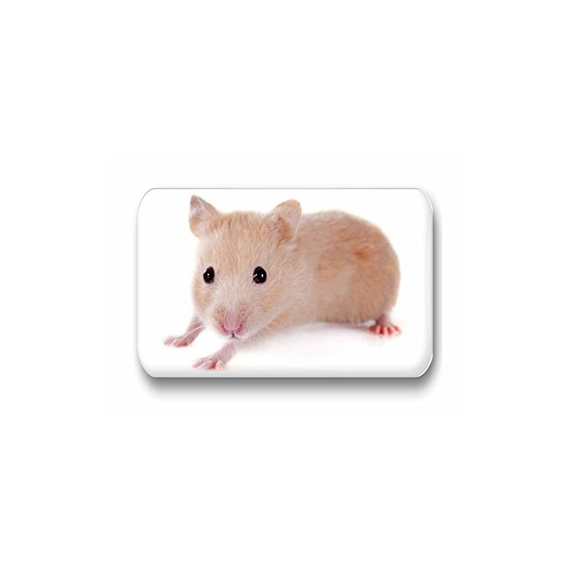 Hamsters/Dwarf Hamsters/Syrian Hamsters – 6 Rectangular Memo Board/Pinboard White Board