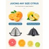 Electric Citrus Juicer Squeezer, Reemix Powerful Orange Juicer with Zine