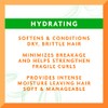 Cantu Avocado Hydrating Leave-In Conditioning Cream, 12 oz (Pack of