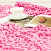 Warm Blanket Pink Soft Fleece Blankets Twin Size Throw Blankets