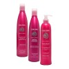 Kit Para Cuidado Del Color De Tu Cabello (sin Sulfatos ) 3pz