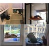 JZK Window mounted cat basking hammock + cat blanket, suction
