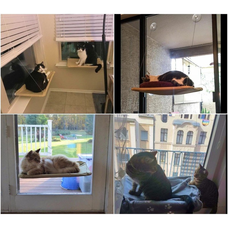 JZK Window mounted cat basking hammock + cat blanket, suction