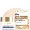 L'Oreal Paris L'oreal paris dermo expo age perfect night cream,