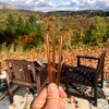 Wildflower Honey Sticks for Tea, Travel & Snacks - Premium
