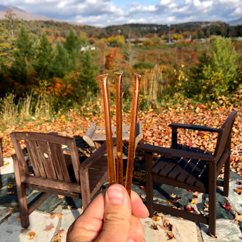 Wildflower Honey Sticks for Tea, Travel & Snacks - Premium