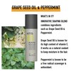 KMS HAIRPLAY Molding Paste Provides Texture, Natural Shine, Pliable Hold