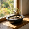 HAKZEON 12 Pcs 12 Inch Bonsai Training Pots, Matte Finish