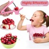 Cherry Pitter Tool,Cherry Pitter Cherry Stone Remover Tool for Making