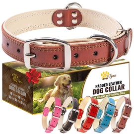 ADITYNA Heavy-Duty Leather Dog Collar for Large Dogs - Soft Padded for Comfort - Large Dog Collar for Walking, Training, and Hiking