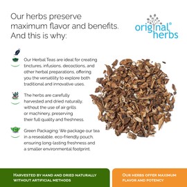 BURDOCK ROOT ARCTIUM LAPPA | Original Herbs Herbal Tea – Wild Crafted Herbs Tea – 50g