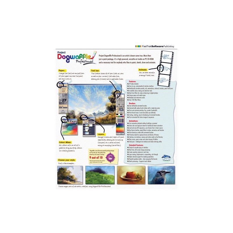 Project Dogwaffle Professional (PC)