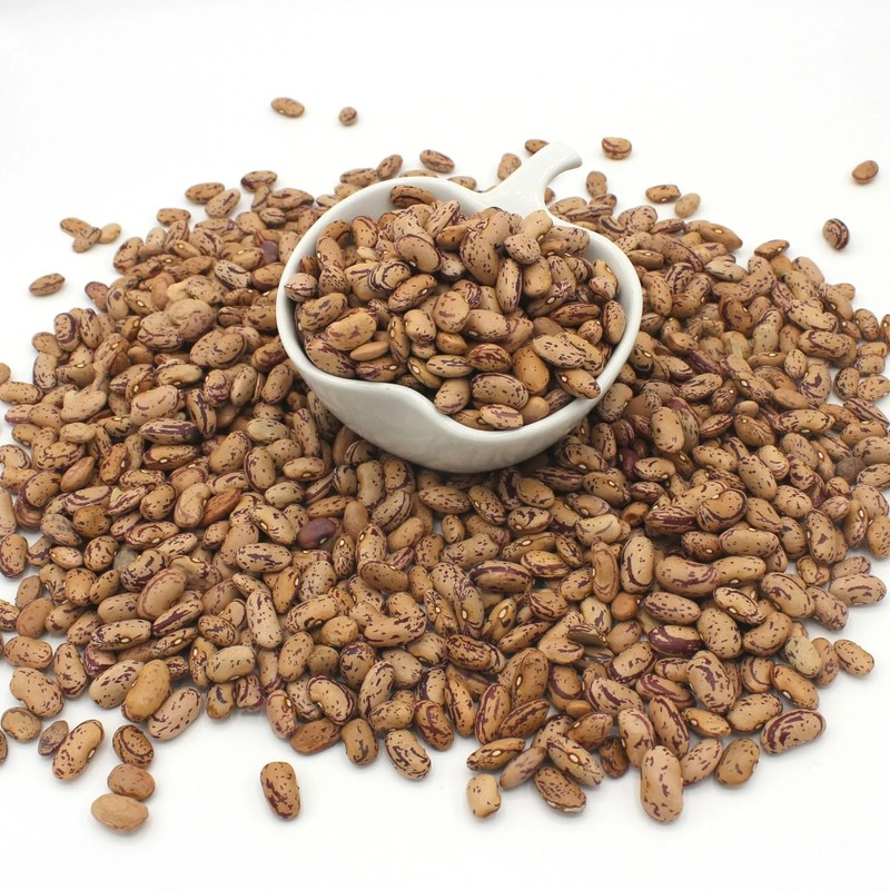 Organic Pinto Beans 500g