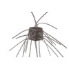OSP Worm Dice Rubber MAXSALT SR05 Shrimp