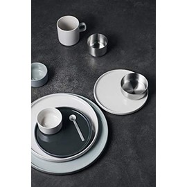 Blomus PILAR Ceramic Dinner Plate 11 Inch Mirage Gray Set of 4