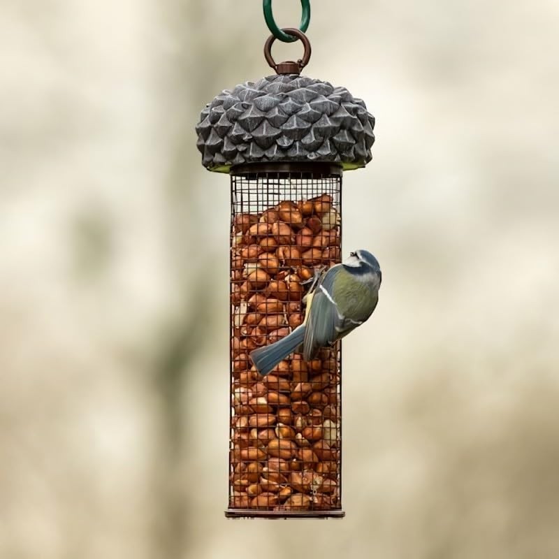 Bonningtons Acorn Wild Bird Nut Feeder