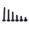 5/16-18 x 1-1/2" Black Steel Carriage Bolts, 304 Stainless Steel