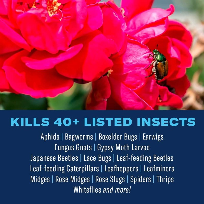 BioAdvanced Dual Action Rose and Flower Insect Killer, Continuous Spray,