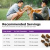 Nutri-Vet Pre & Probiotics for Dogs, Digestive Support, Upset Stomach,