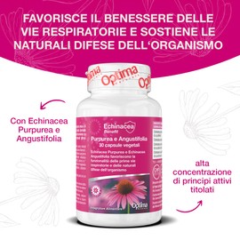 Echinacea Purpurea e Angustifolia in capsule vegetali - favorisce la funzionalità delle prime vie respiratorie e le naturali difese dell'organismo - 30 capsule vegetali Echinacea Benefit