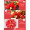 Freeze Dried Strawberry Slices, Crispy and Delicious, Dehydrated Strawberry Slices