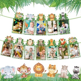 Kimini-Ki Wild One 12 Month Photo Banner, Wild One Birthday Decorations, Jungle Safair Animal 1st Birthday Monthly Photo Banner, Wild One Year Photo Banner
