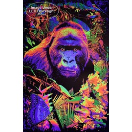 Studio B Gorilla Encounter - Laminated Blacklight Poster - 24.5" x 36.5"