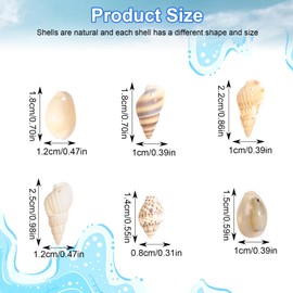 Shells Decoration, Pack of 120 Mixed Shells Decoration with Hole, 6 Styles Natural Shell Beads, DIY Shells for Crafts, Jewellery Making, Deco Crafts, 12-15 mm