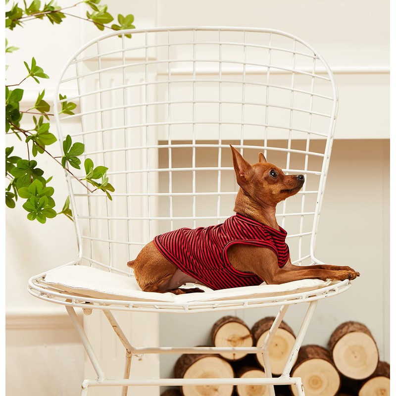 WEONE Camisetas de verano para perros, chaleco de algodón a